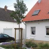 pflanzungen_rasenflaechen13.jpg
